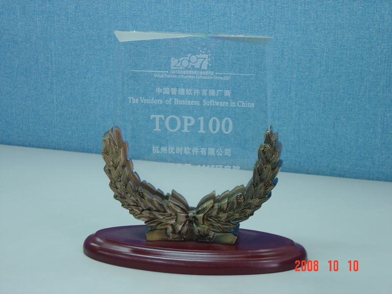 2007年中國管理軟件百強廠商獎牌