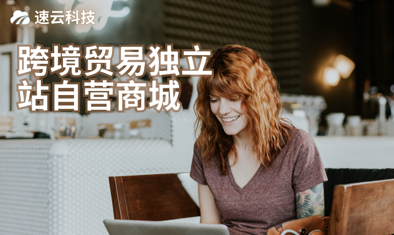 跨境貿(mào)易獨(dú)立站自營商城